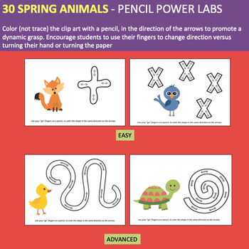 Teach Pencil Grasp and How to Control a Pencil SPRING THEMED - Image 2