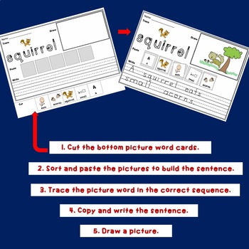 September Themed Picture - Word Sentences for Writing - Image 2