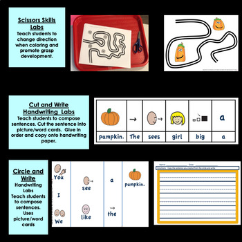 Pumpkin Themed Fine Motor Labs - Image 4
